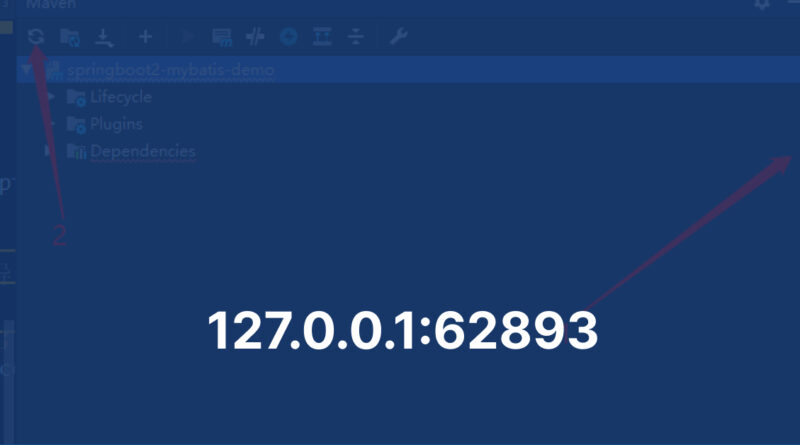 127.0.0.1:62893