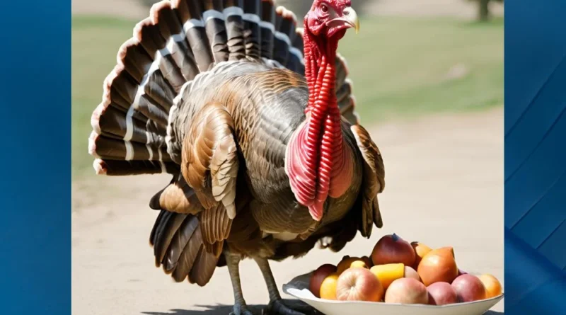 The Ultimate Guide to Turkey Clipart